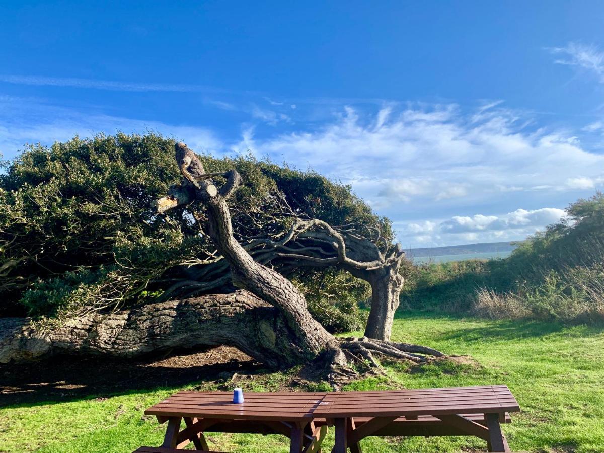 Shorefield Country Park, Where The New Forest Meets The Sea, Passes For All Entertainment Included Milford on Sea Exterior photo